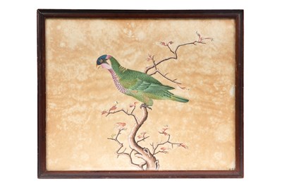 Lot 138 - A CHINESE GOUACHE PAINTING OF A PARROT